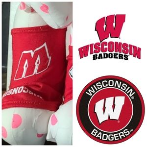 BADGERS MINI DOG